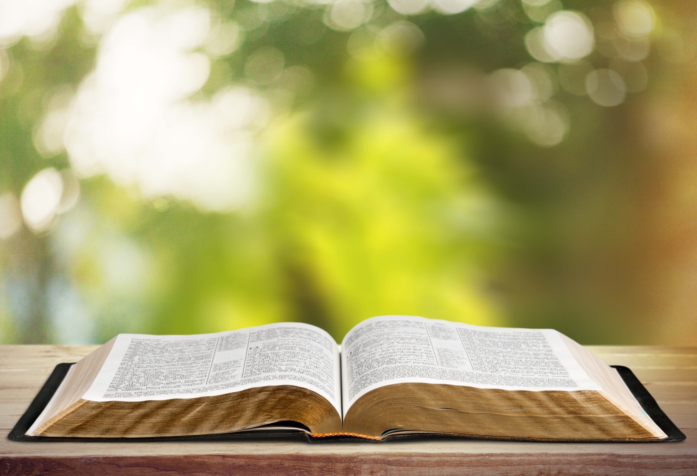 shutterstock_267395483_Billion Photos_offene_Bibel_Naturhintergrund/GlaubeSinnWerte