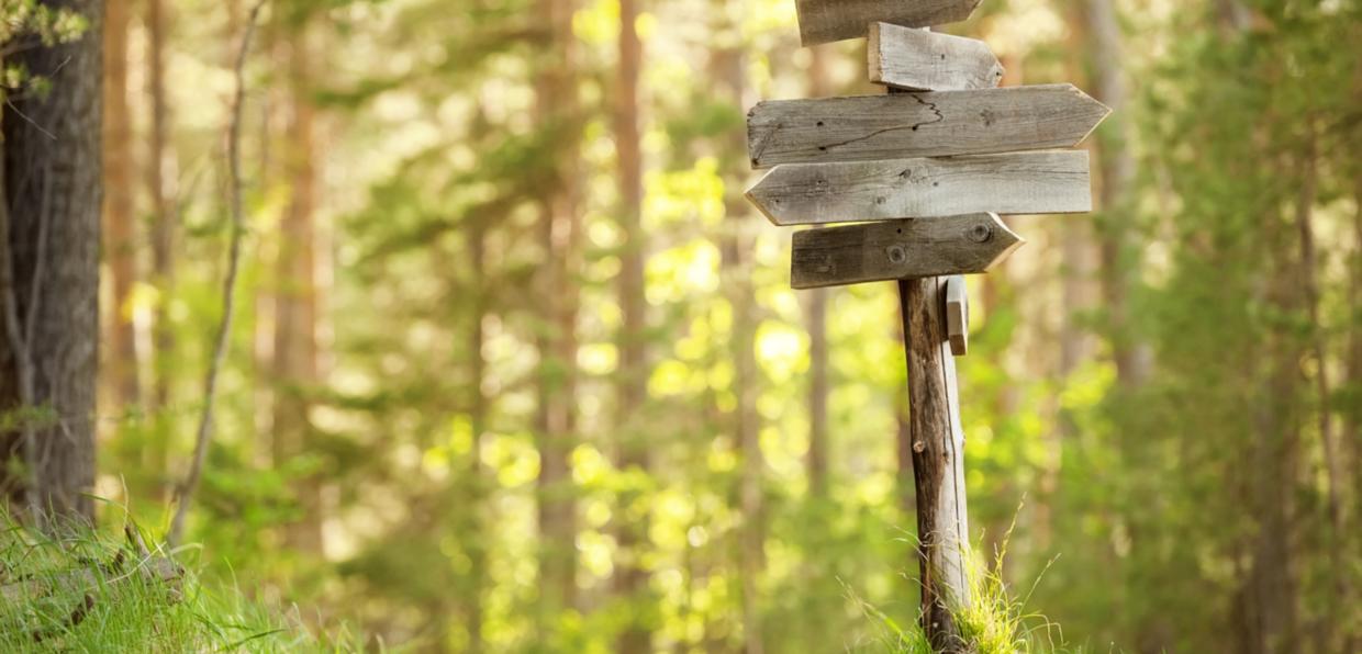 Unbeschrifter Wegweiser im Wald