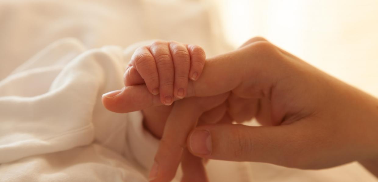 Mutter/Vater und Baby reichen sich die Hand