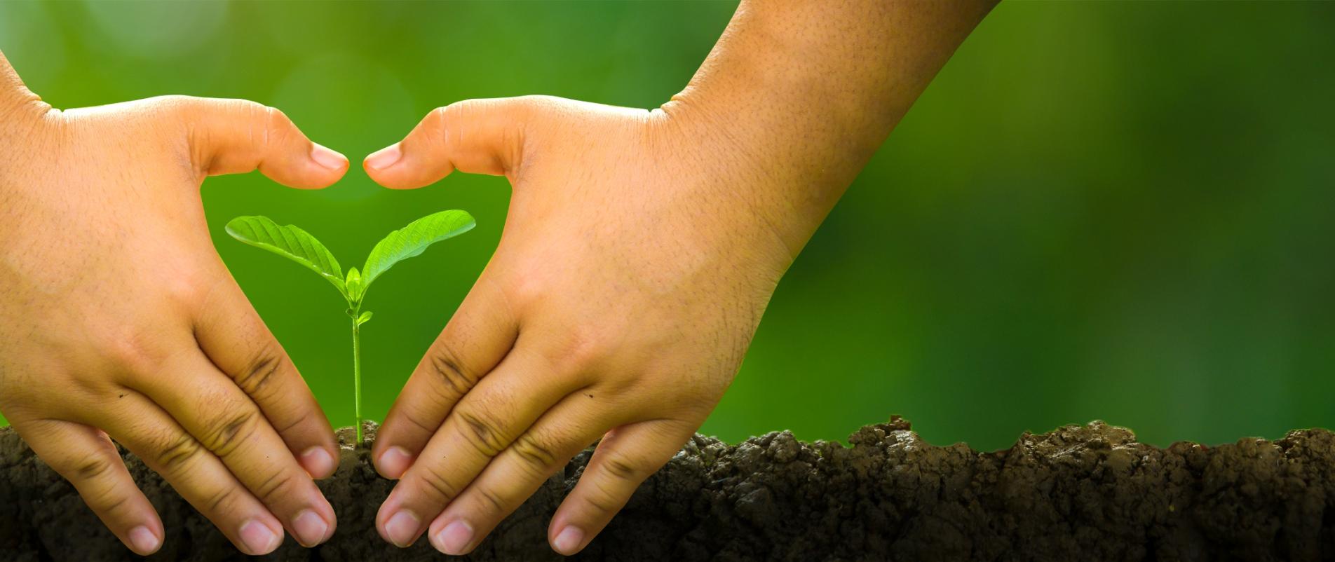 Aufmacher RGG Religions go green