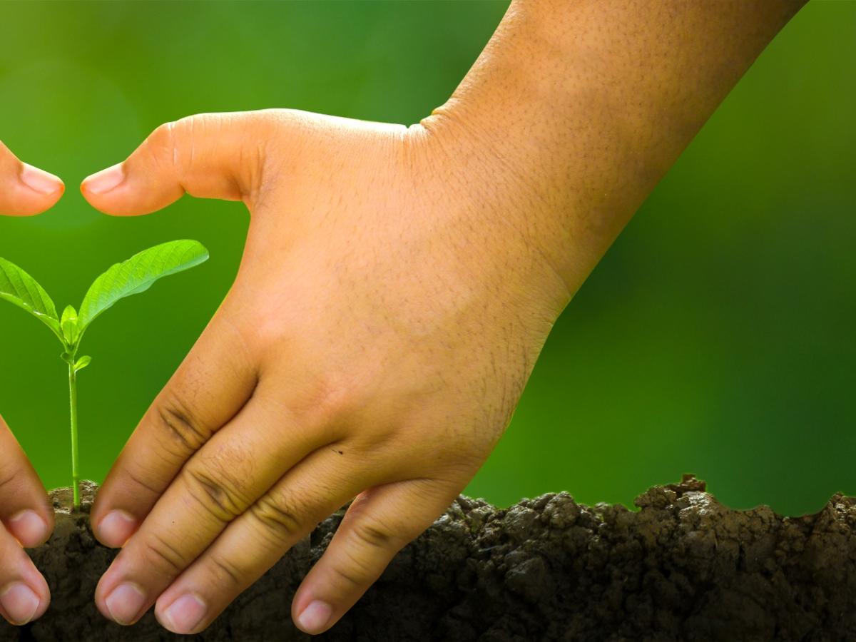 Aufmacher RGG Religions go green