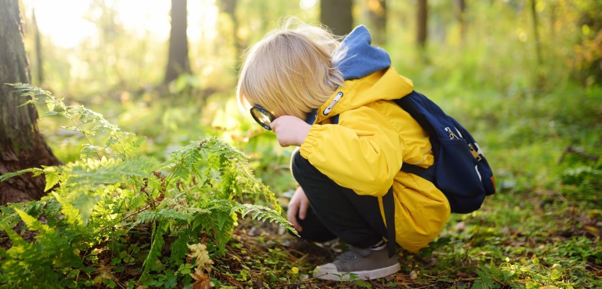 Kind mit Lupe im Wald