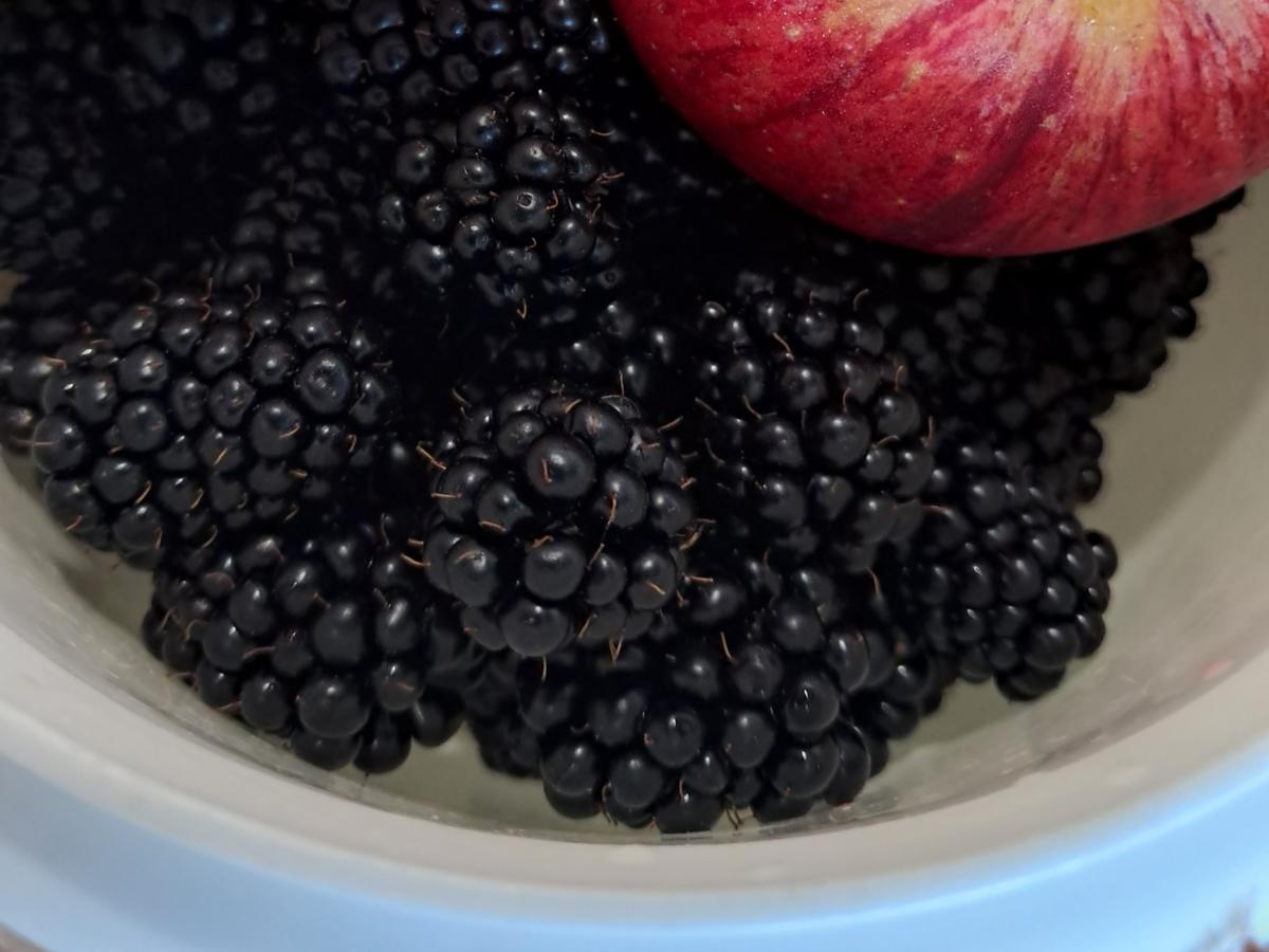 Carina Raddatz hat das Obstkäppchen ins Leben gerufen. Eine moderne Version des Rotkäppchens, allerdings gibt es mehr als Wein und Kuchen. Die Idee ist es, etwas, gegen Altersarmut und die oft damit verbundene Einsamkeit zu unternehmen. 16 Einrichtungen mit 80 Aktiven gibt es in der Region, Hürth kam als letzte mit 16 Ehrenamtlichen Einrichtungen dazu. Das Foto zeigt Obst.