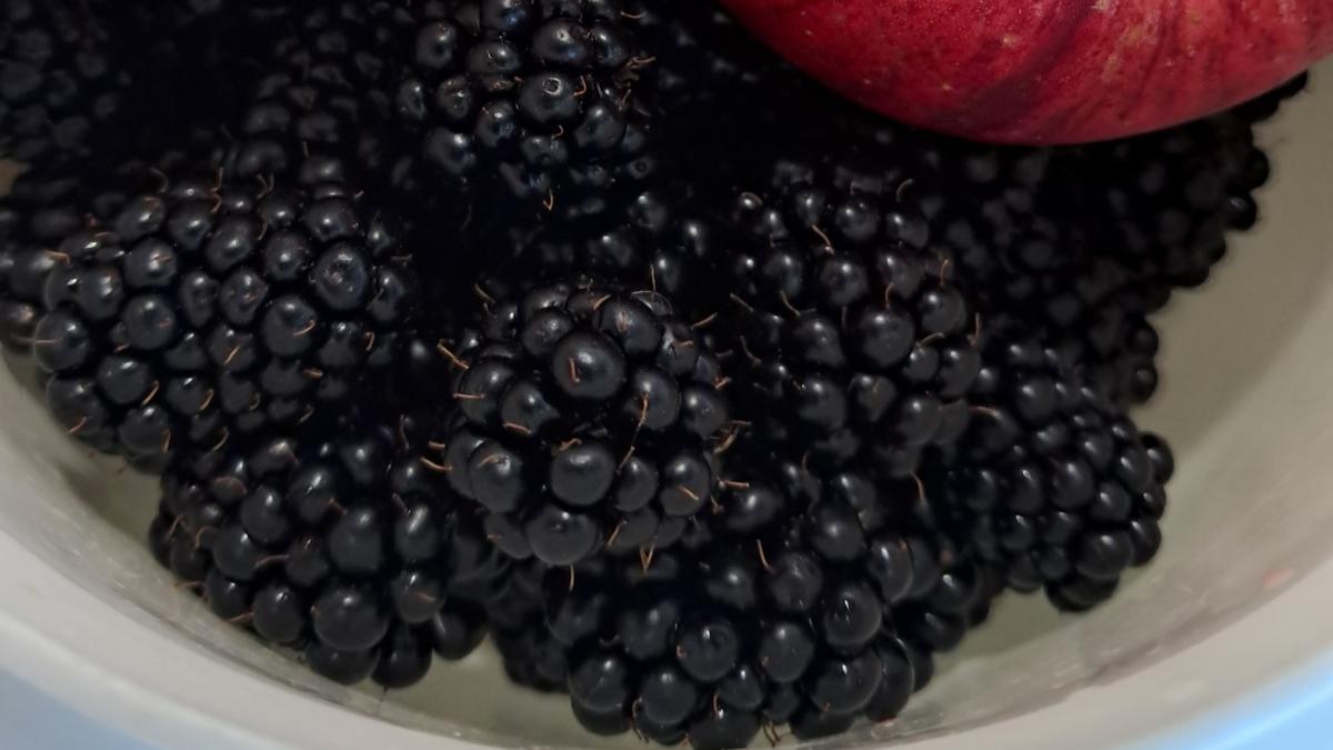 Carina Raddatz hat das Obstkäppchen ins Leben gerufen. Eine moderne Version des Rotkäppchens, allerdings gibt es mehr als Wein und Kuchen. Die Idee ist es, etwas, gegen Altersarmut und die oft damit verbundene Einsamkeit zu unternehmen. 16 Einrichtungen mit 80 Aktiven gibt es in der Region, Hürth kam als letzte mit 16 Ehrenamtlichen Einrichtungen dazu. Das Foto zeigt Obst.