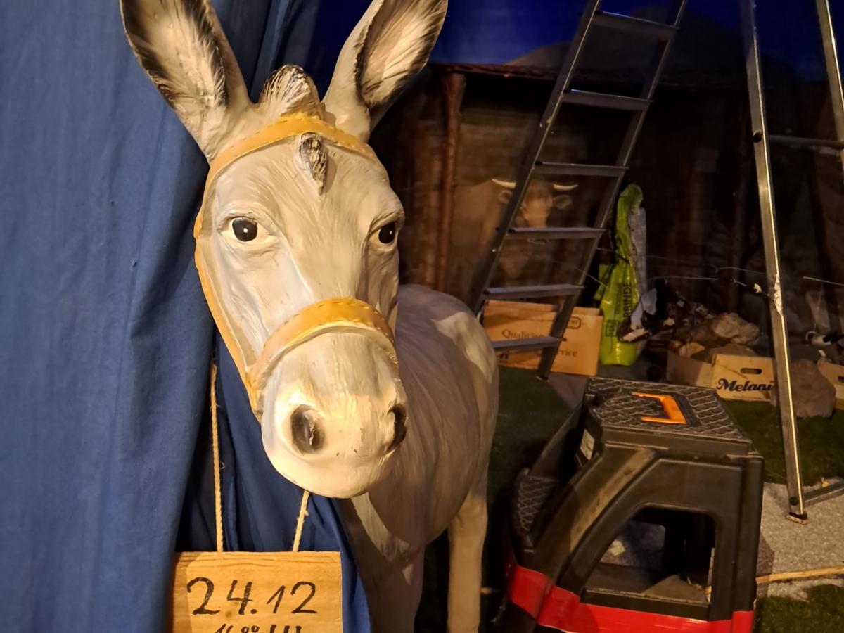 Der Esel in der Krippe von St. Margareta in Brühl