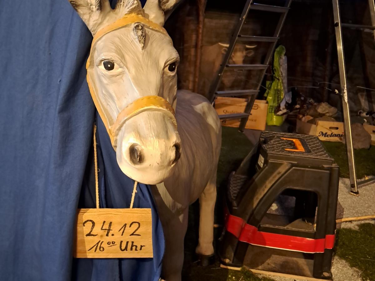 Der Esel in der Krippe von St. Margareta in Brühl