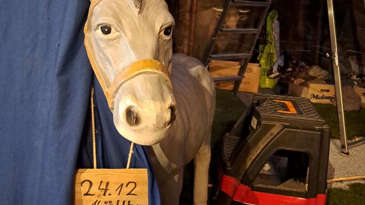 Der Esel in der Krippe von St. Margareta in Brühl