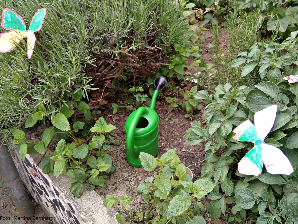 So sieht der Schmetterlingsgarten aus.