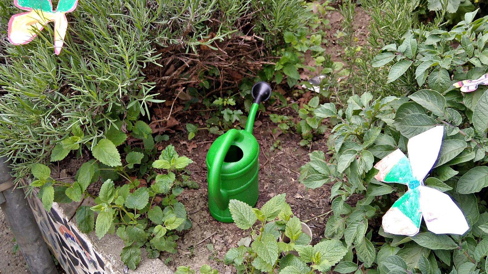 So sieht der Schmetterlingsgarten aus.