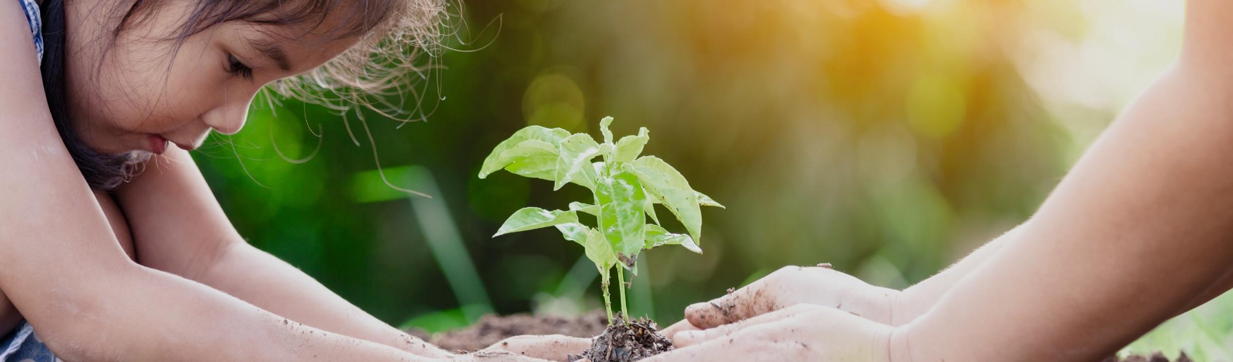 Jung und Alt pflanzen gemeinsam