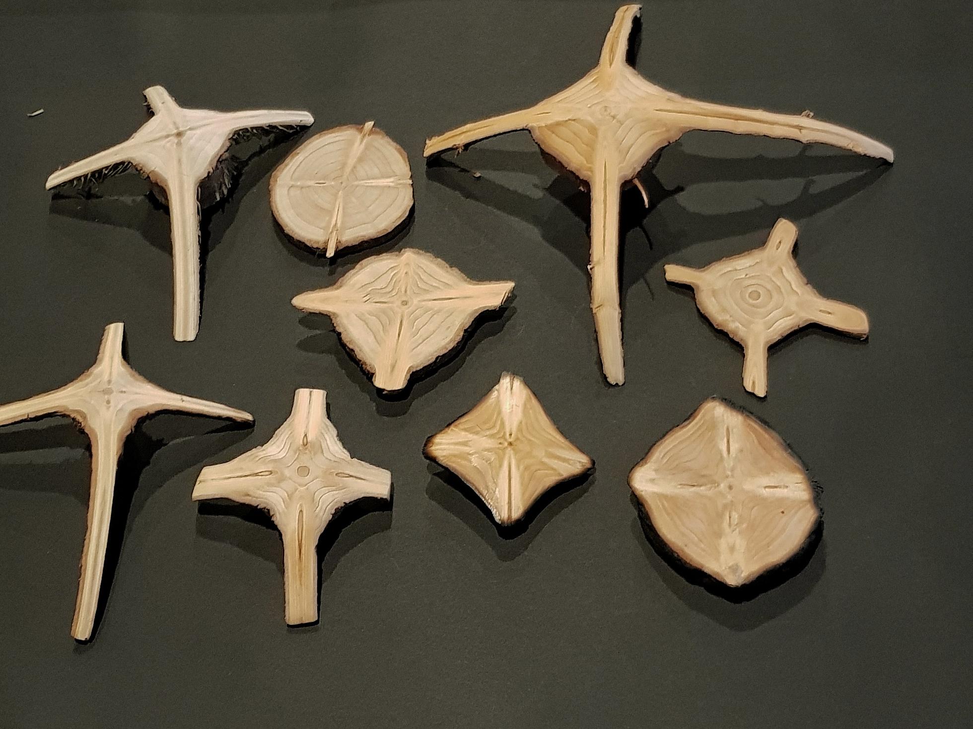 1 Holzkreuze aus Tannenbäumen CM