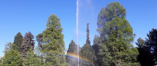 Bild Regenbogen