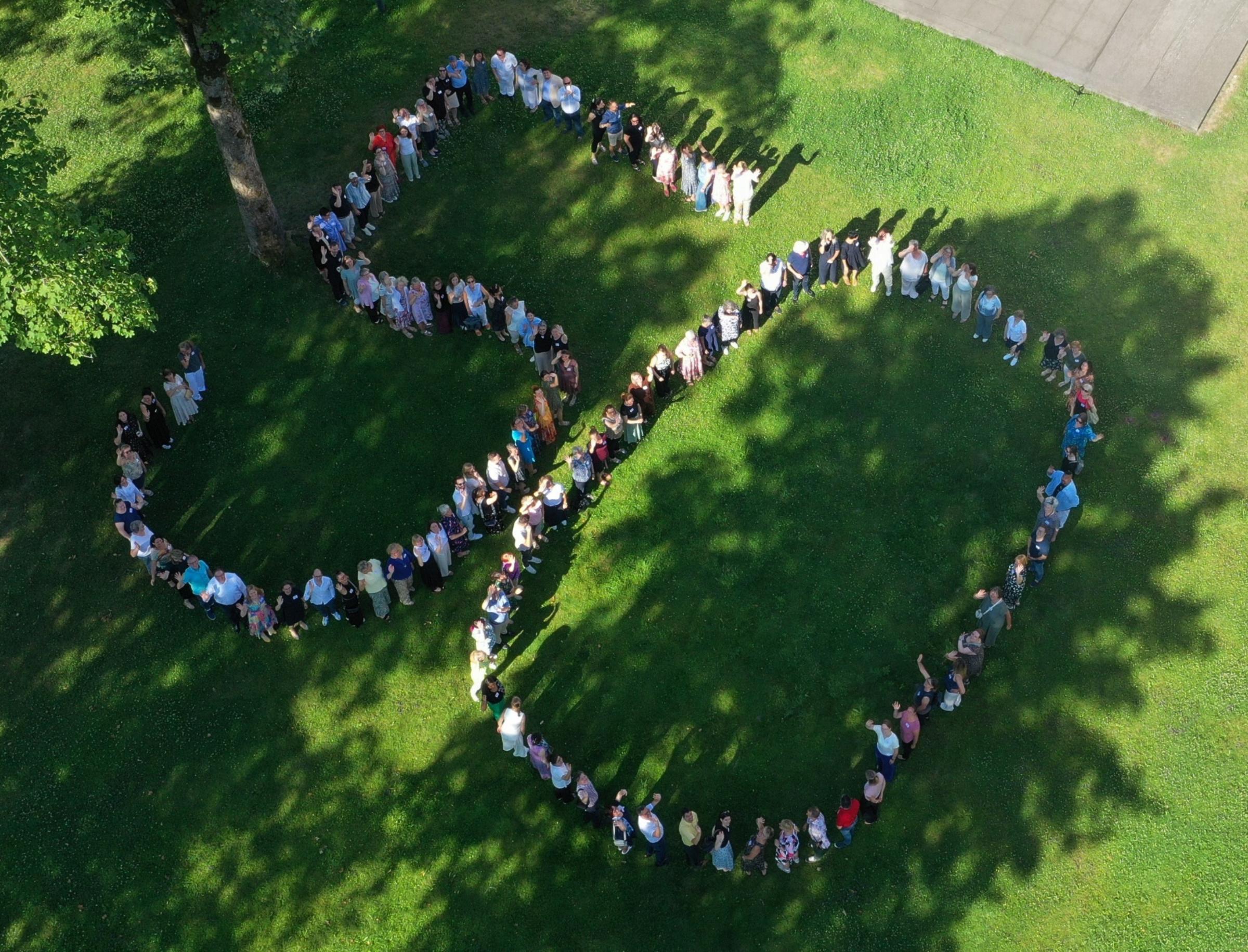 Viele Menschen haben sich auf einer schattigen Wiese aufgestellt und gemeinsam die Zahl 50 gebildet.