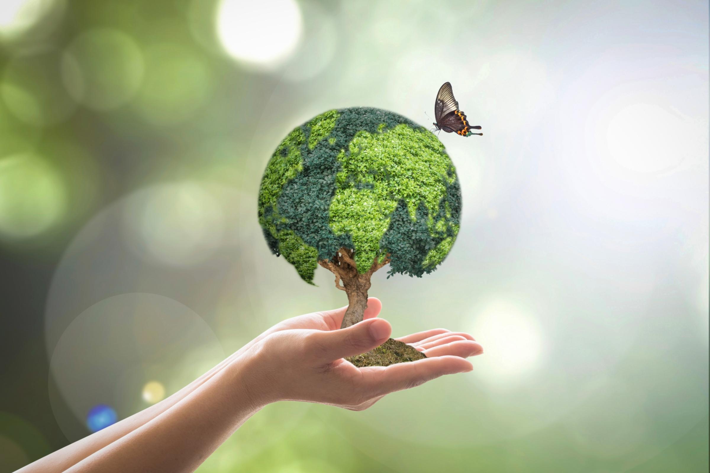 Ein Mensch birgt einen Baum mit einer der Erdkugel ähnelnden Laubkrone in seinen Händen