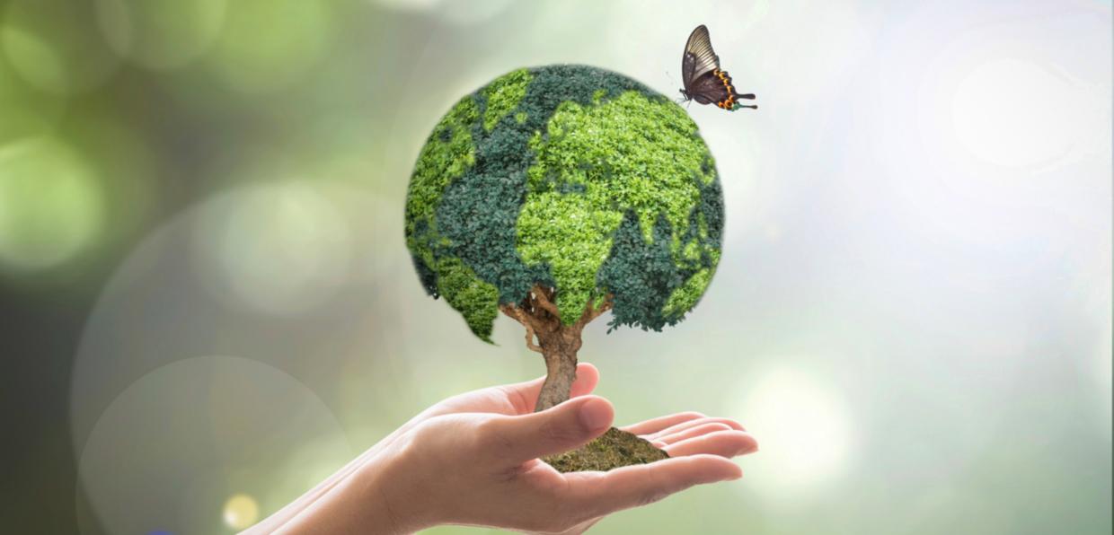 Ein Mensch birgt einen Baum mit einer der Erdkugel ähnelnden Laubkrone in seinen Händen