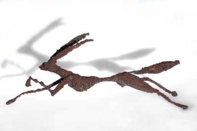 Liebres_Jahr_© Rogelio Ormedo