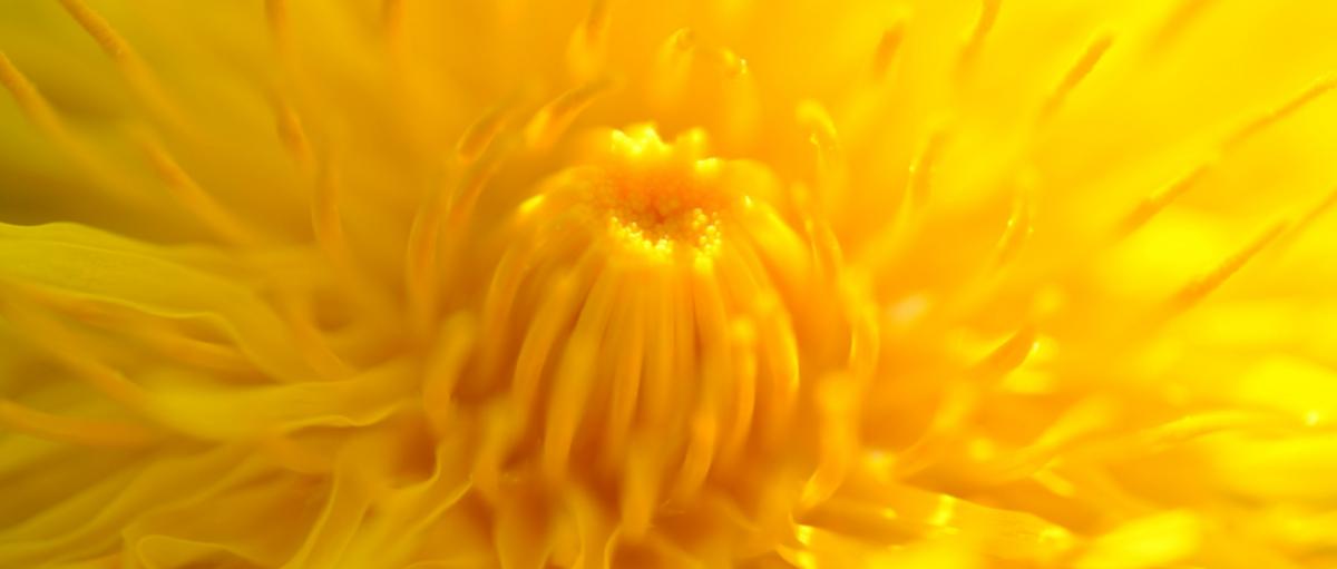 dsc_0065_by_Barbara_Schartz_pfarrbriefservice