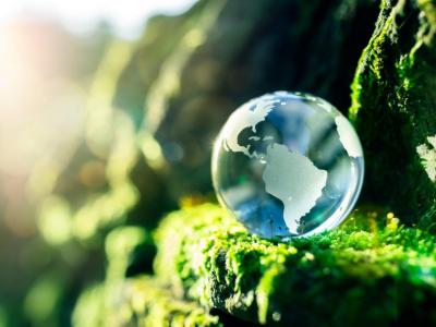 Weltkugel_aus_Glas_Felsen_mit_Moos_frei