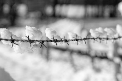 Stacheldraht_im_Winter