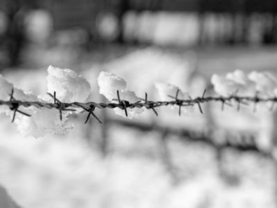Stacheldraht_im_Winter