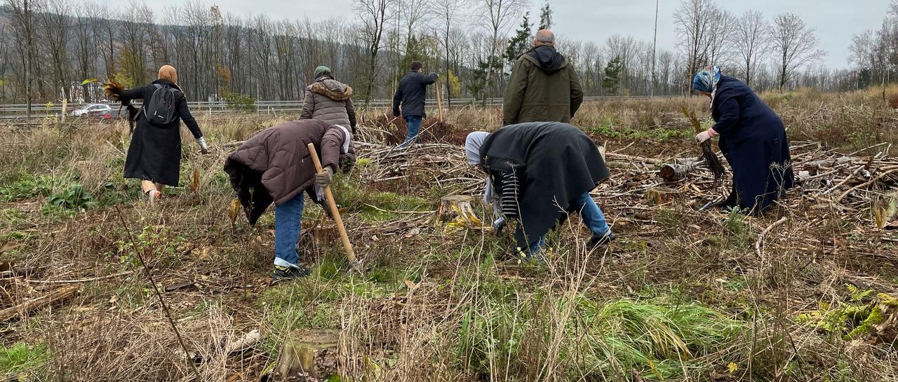 Baumpflanzaktionen