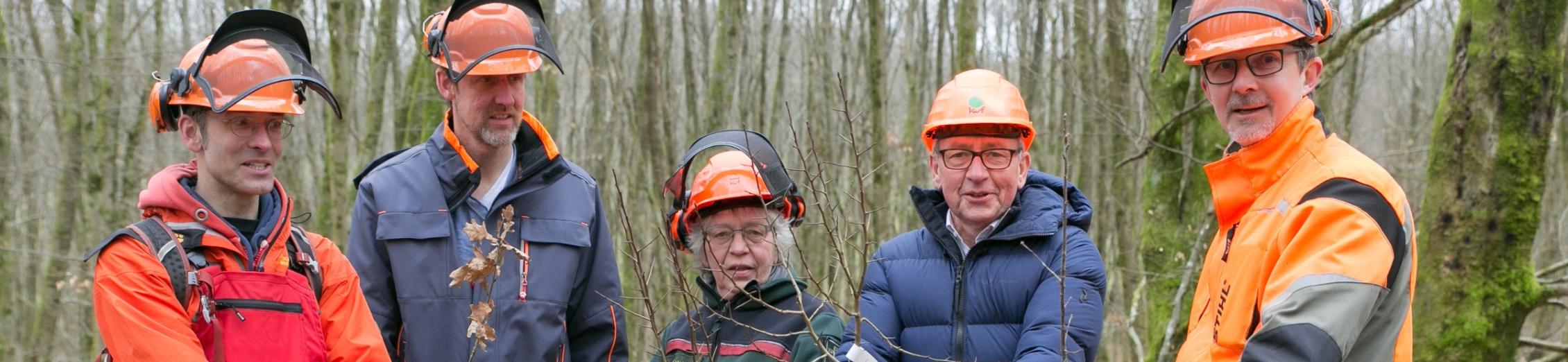 Kettensägekurs und Baumspende