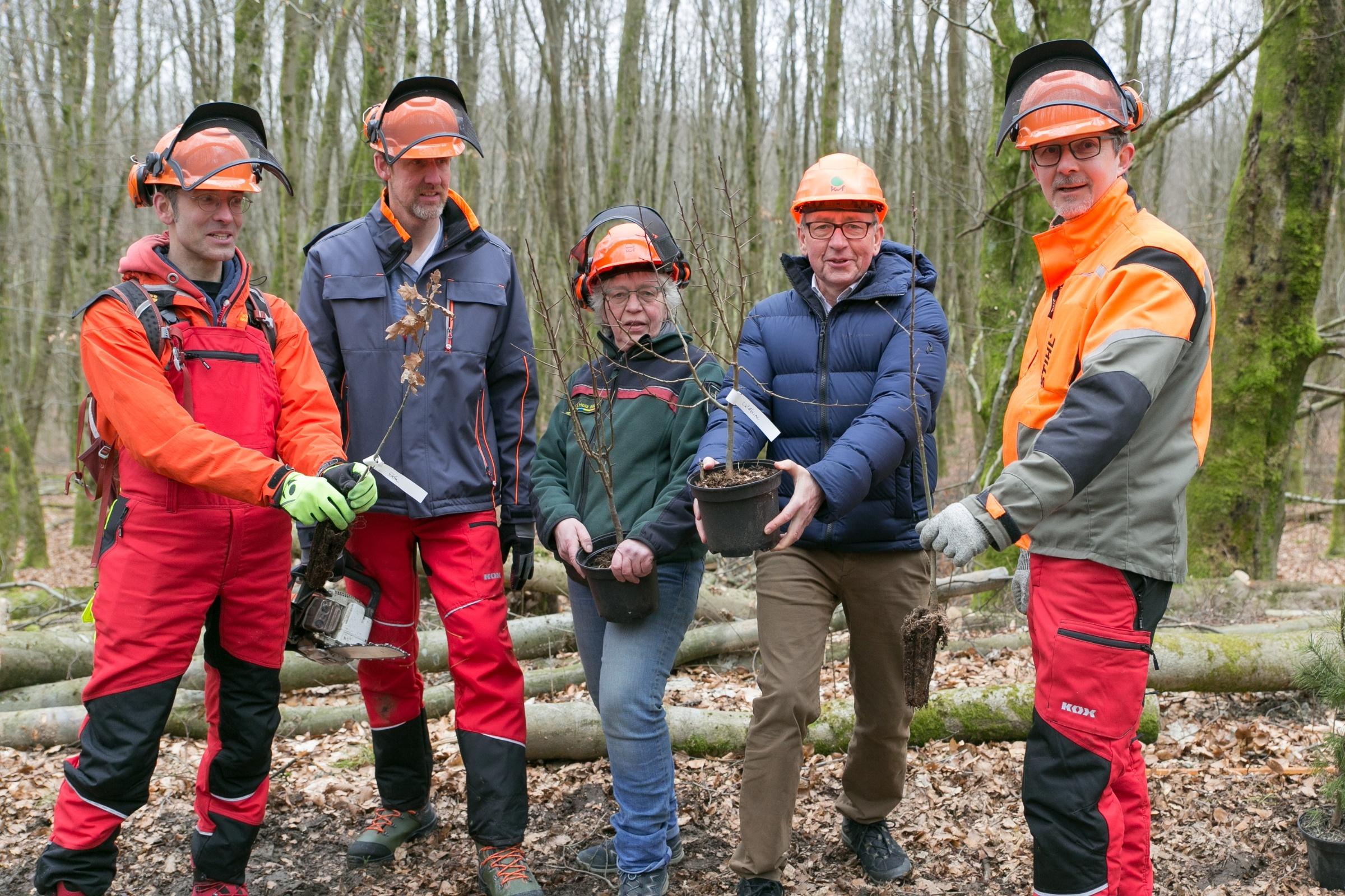 Kettensägekurs und Baumspende