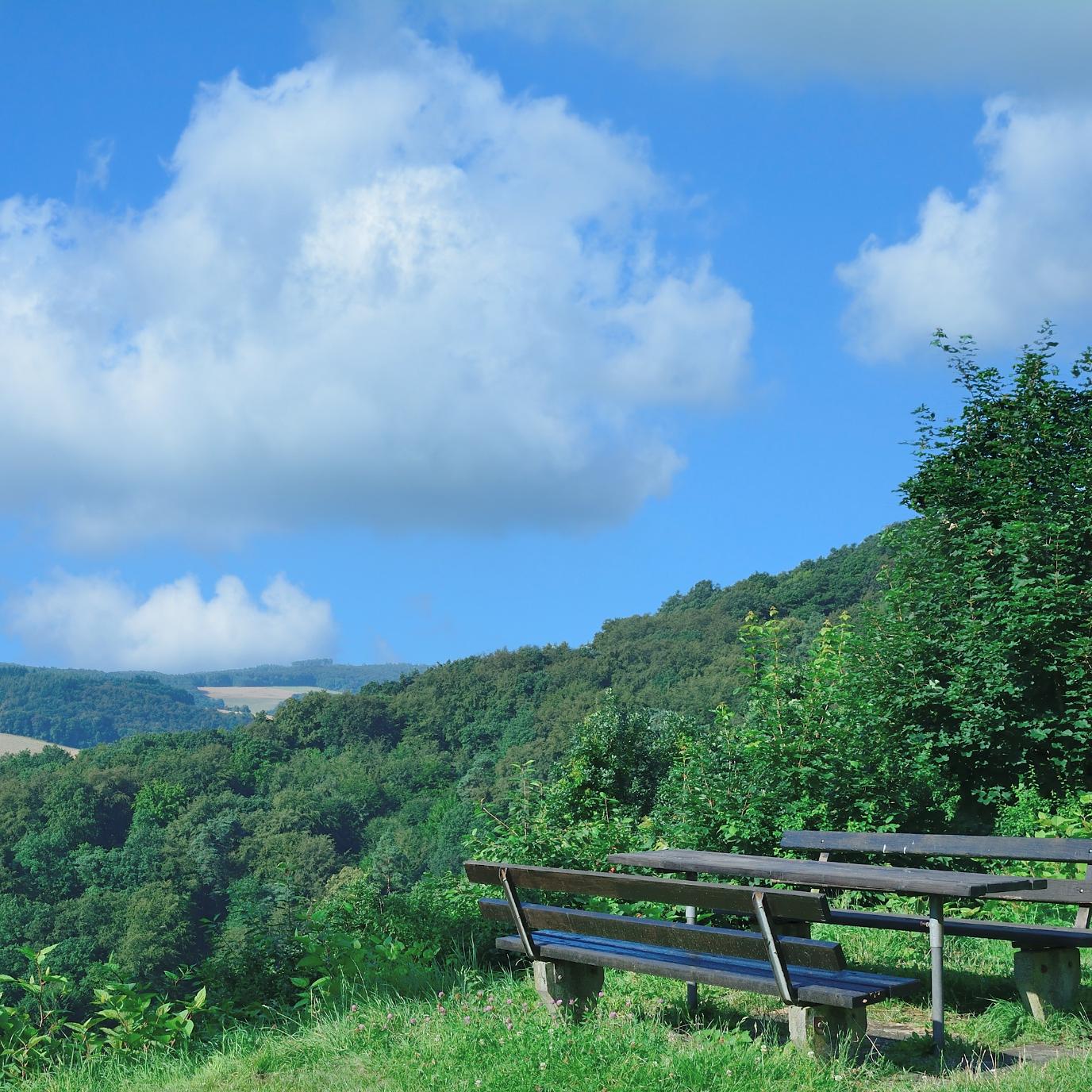 Bank in hügeliger und bewaldeter Landschaft