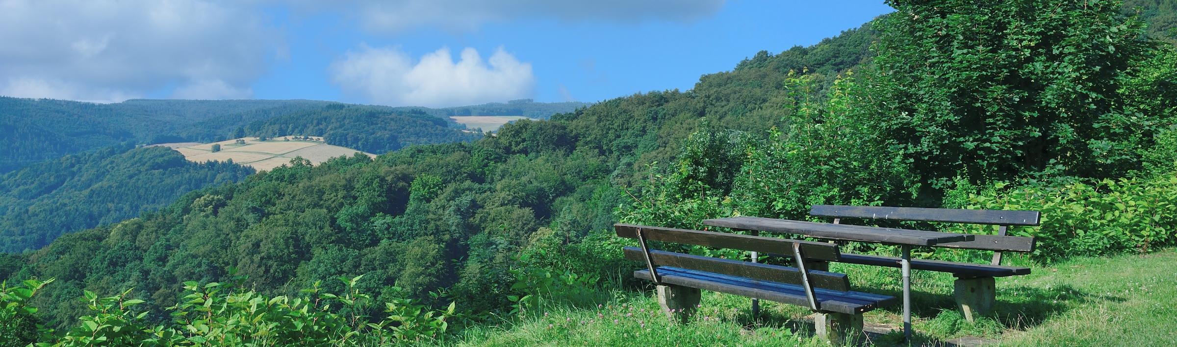 Bank in hügeliger und bewaldeter Landschaft