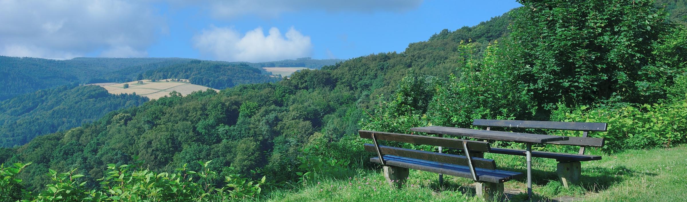 Bank in hügeliger und bewaldeter Landschaft