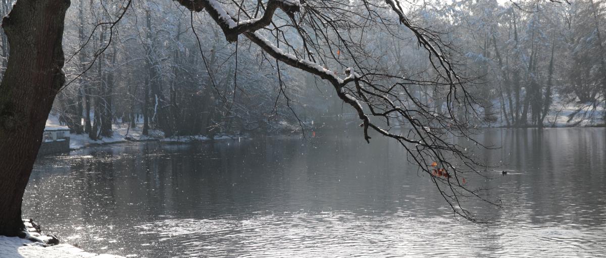 Weiher (c) MH Weiher