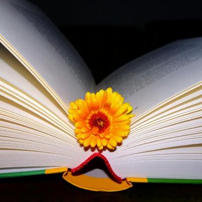 Lesen weckt die Phantasie