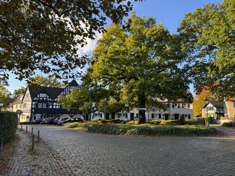 Platz an der Eiche