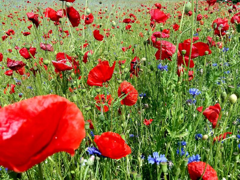 Veranstaltungs-Highlights