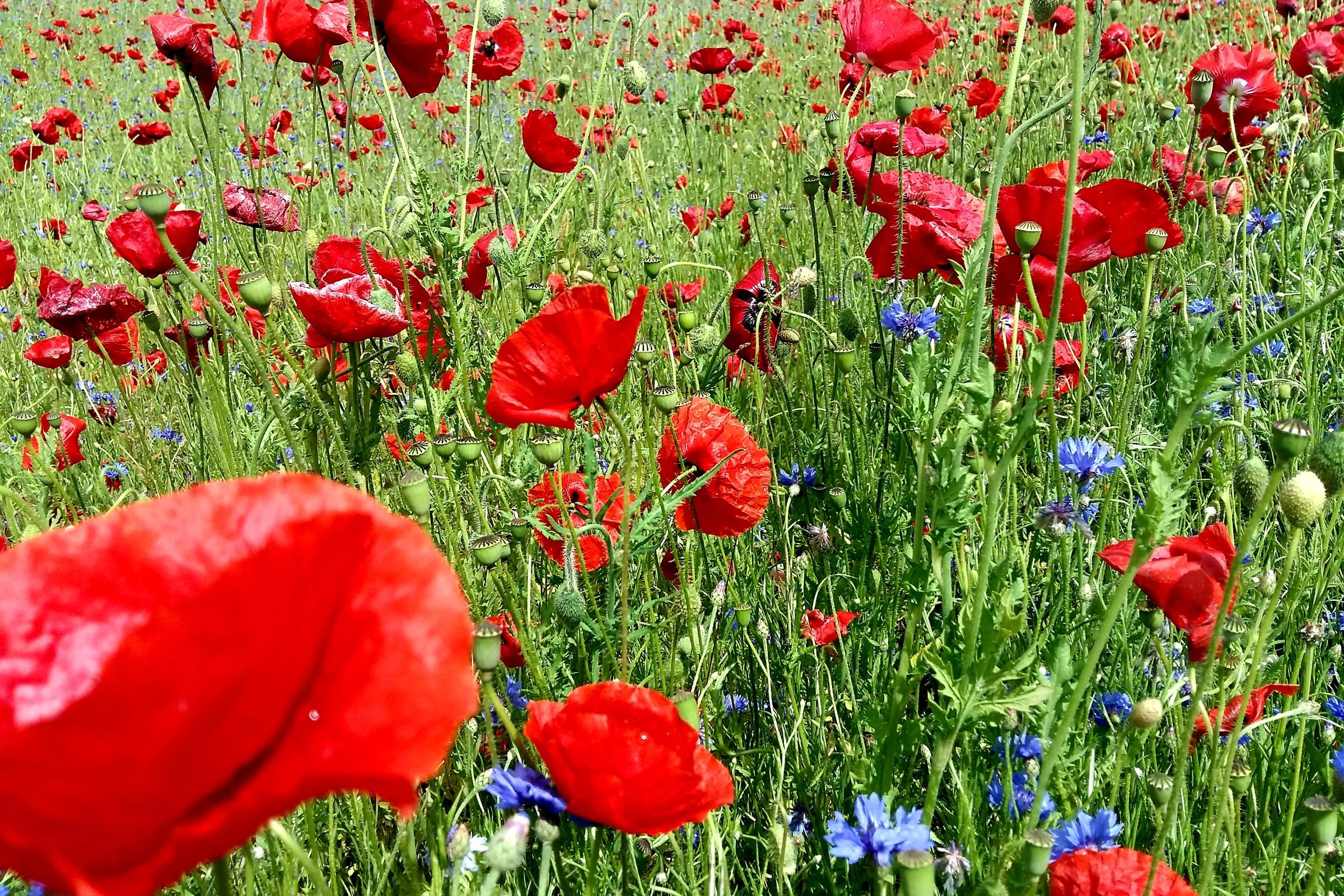 Veranstaltungs-Highlights