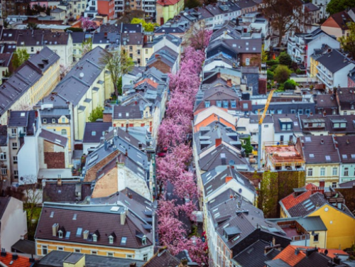 Pdf unseres Programmhefts