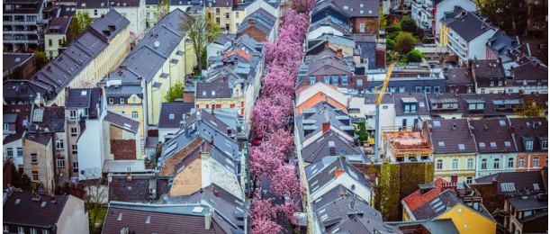 Pdf unseres Programmhefts