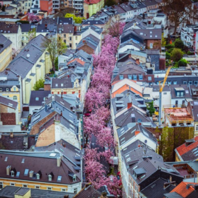 Pdf unseres Programmhefts