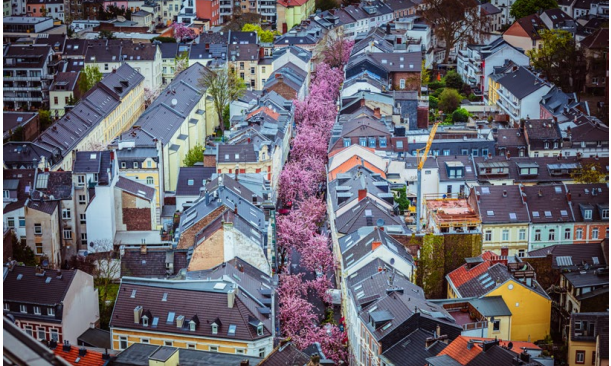 Pdf unseres Programmhefts