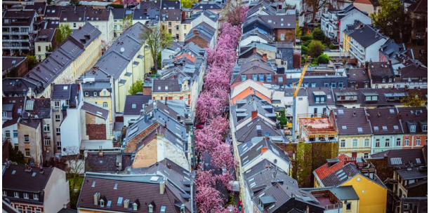 Pdf unseres Programmhefts