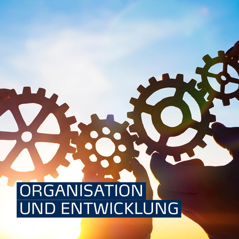 Symbolbild Profilbereich Organisation und Entwicklung