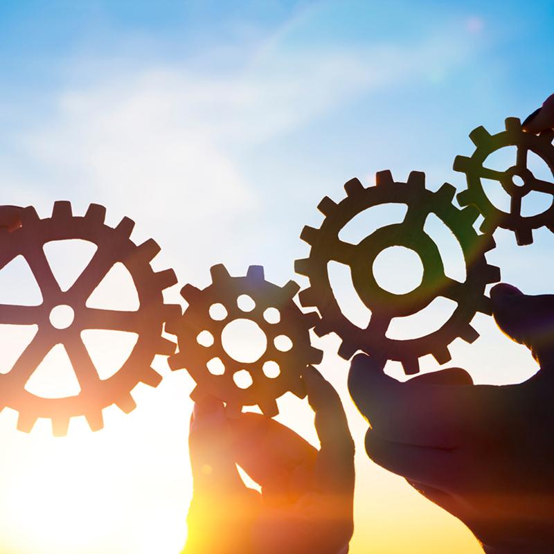 Symbolbild Profilbereich Organisation und Entwicklung